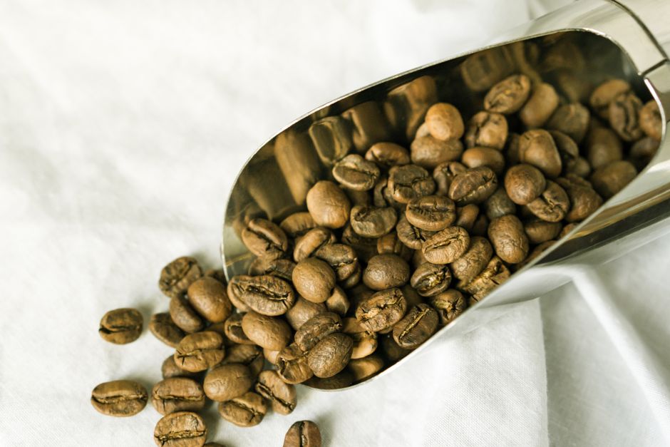 How Much Does Bean Origins, Roasts & Cupping Notes Really Cost in 2026? Budget & Gear