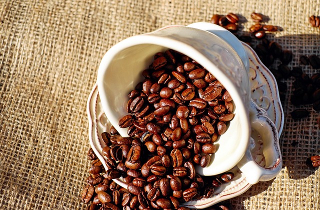 My Field Guide to Bean Origins, Roasts & Cupping Notes : What Actually Works