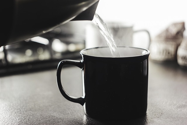 My Field Guide to Pour-Over Brewing & Dripper Science : What Actually Works