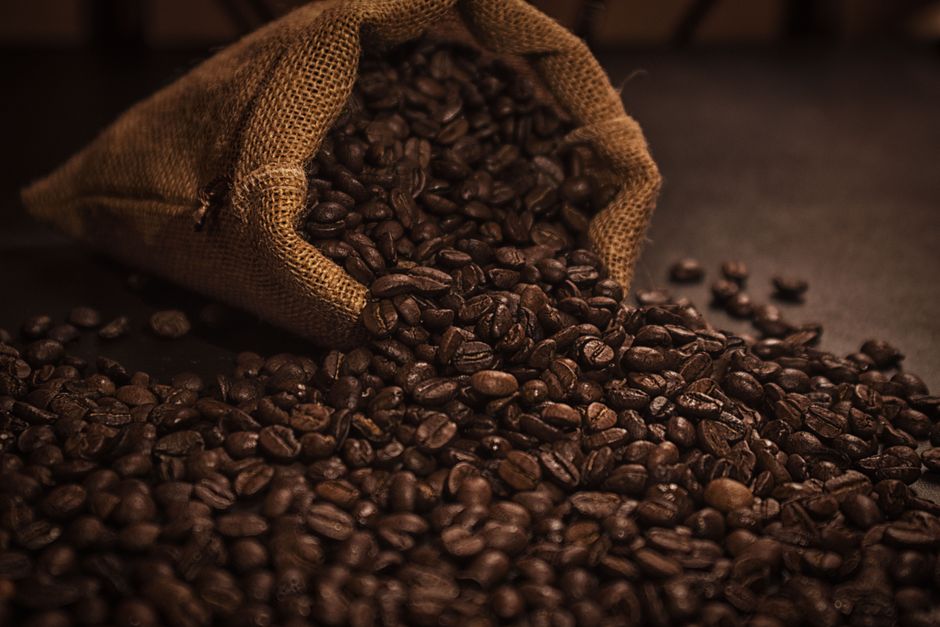 My Golden Rules for Bean Origins, Roasts & Cupping Notes That Never Let Me Down