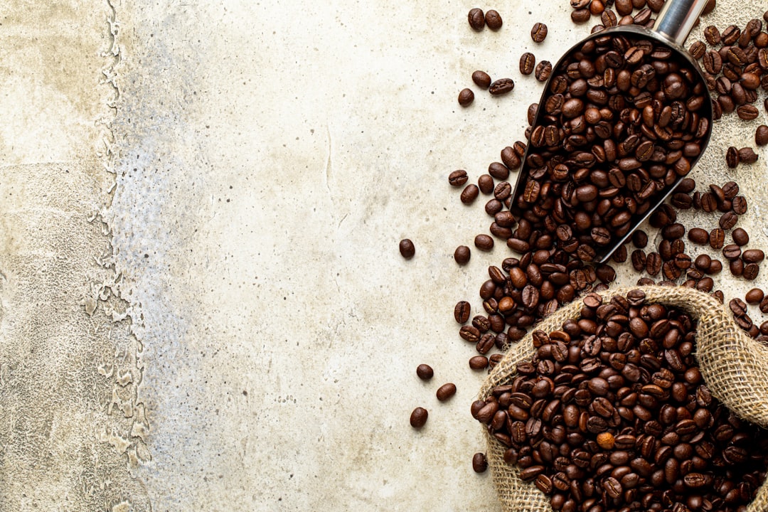 My Step-by-Step Blueprint for Bean Origins, Roasts & Cupping Notes